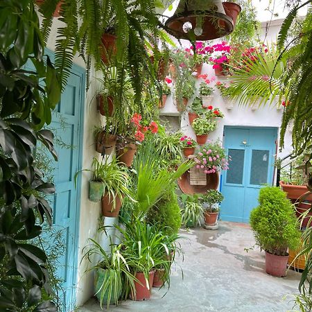 Apartamento La Muralla Vejer de la Frontera Εξωτερικό φωτογραφία