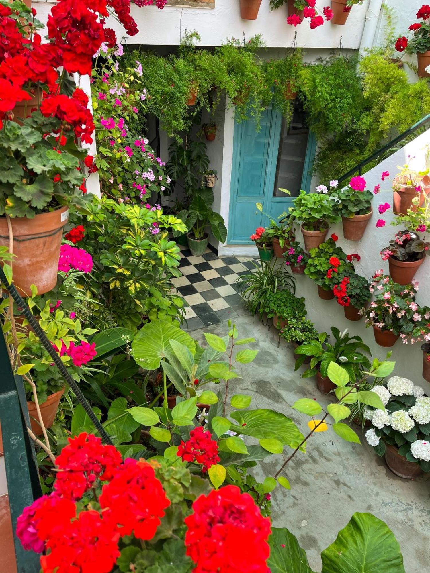 Apartamento La Muralla Vejer de la Frontera Εξωτερικό φωτογραφία