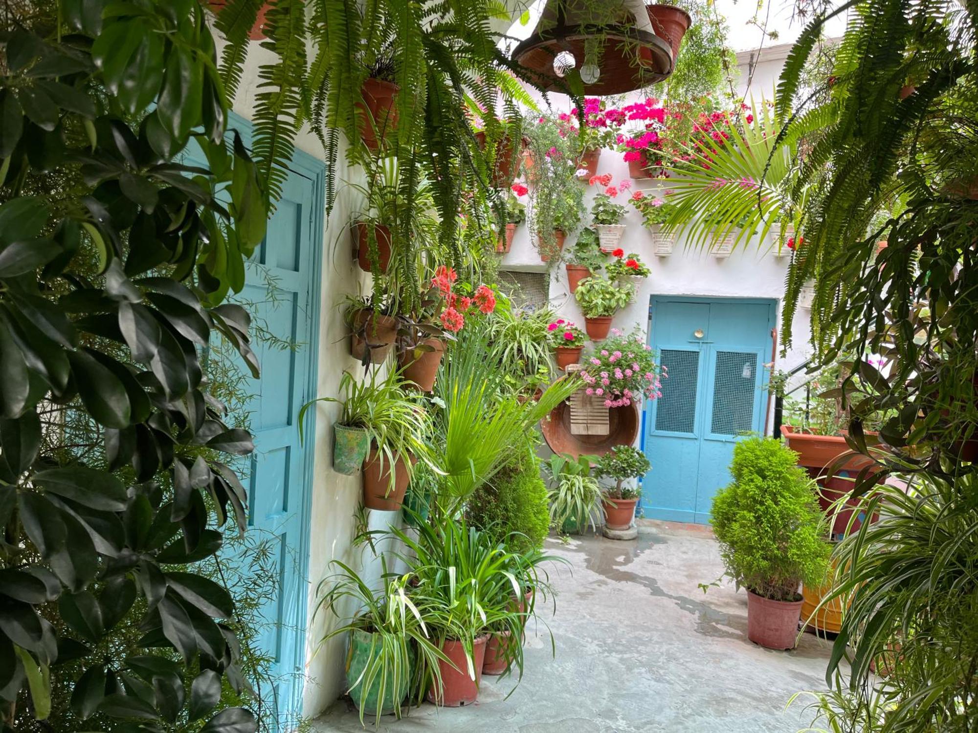 Apartamento La Muralla Vejer de la Frontera Εξωτερικό φωτογραφία